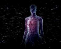 First time human-on-a-chip predicts in vivo results based on in vitro model