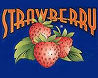 Spanish Strawberries Causing Environmental Catastrophe