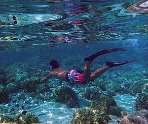Fish Know To Avoid The Spear