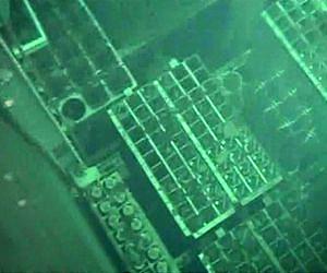 Fukushima water handling 'like whack-a-mole': minister