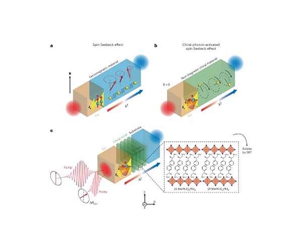 Chiral phonons create spin current without needing magnetic materials
