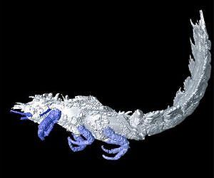 Images of 300 million old insects revealed
