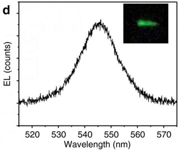 Filter Transforms Commercial LEDs into Spintronic Devices