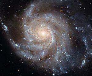 Nearby dwarf galaxy and possible protogalaxy discovered