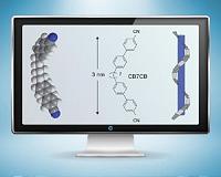 Twists and bends in LCD research