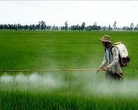 Thailand stops short of banning hazardous weedkillers