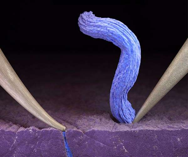 Stanford scientists illuminate barrier to next-generation battery that charges very quickly