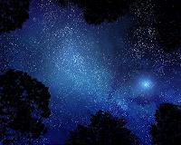 Discovery of a time-resolved supernova signal in Earth's microfossils