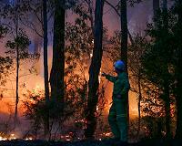 Wildfire not spreading like wildfire