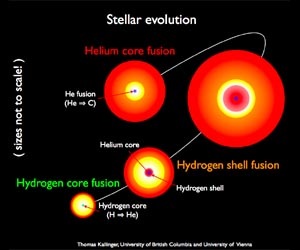 Revealing The Inner Secrets Of Giant Stars
