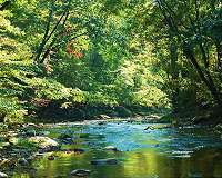 Hotspots show that vegetation alters climate by up to 30 percent