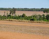 Latin America pledges to reforest 20 mn hectares by 2020