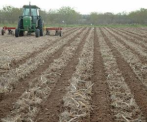Radical overhaul of farming could be 'game-changer' for global food security