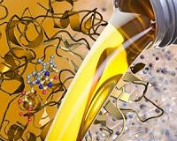 Mold unlocks new route to biofuels