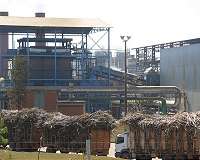 In Mauritius, sugar cane means money, renewable energy