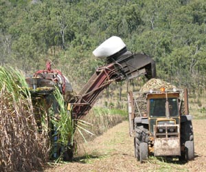 Brazilian Sugarcane Ethanol Has Highest Emissions Savings