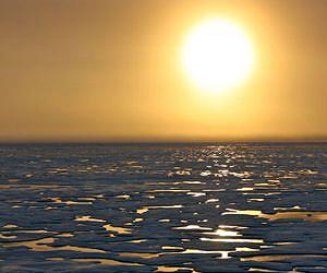 UM Researcher Finds Loss of Sea Ice Causes Ecological Changes