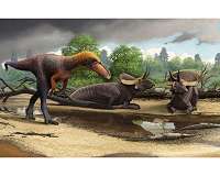 New 3-foot-tall relative of Tyrannosaurus rex
