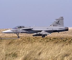 Sweden needs up to 80 new Gripen fighter jets: military