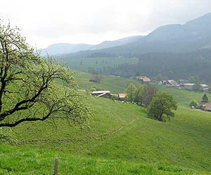 Global warming: European species lag in habitat shift