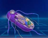 Scientists Call For Global Push To Advance Research In Synthetic Biology