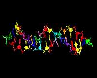 Scientists model DNA gene with first billion-atom biomolecular simulation