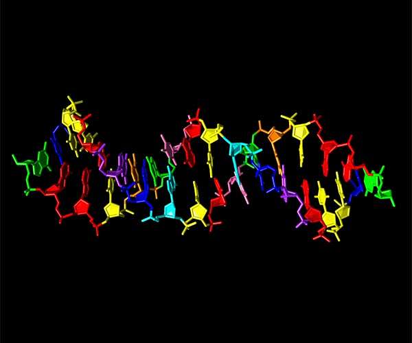 MIT scientists create method to label, retrieve DNA data files