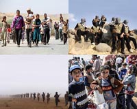 Conditions in Syria's al-Hol camp 'apocalyptic': Red Cross