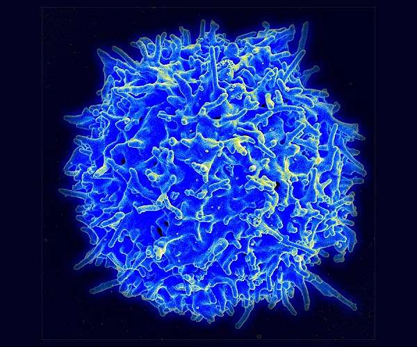 MD Anderson teams with experts to study T-cells on ISS