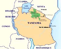 Demand For Electricity In Tanzania Fuelled By Industrial Growth