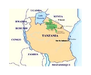 Conservationists seek legal freeze of Tanzania road