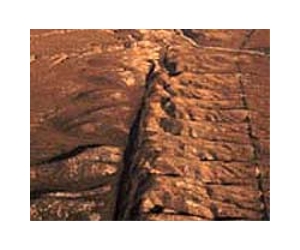 'Wall to wall' San Andreas quake overdue