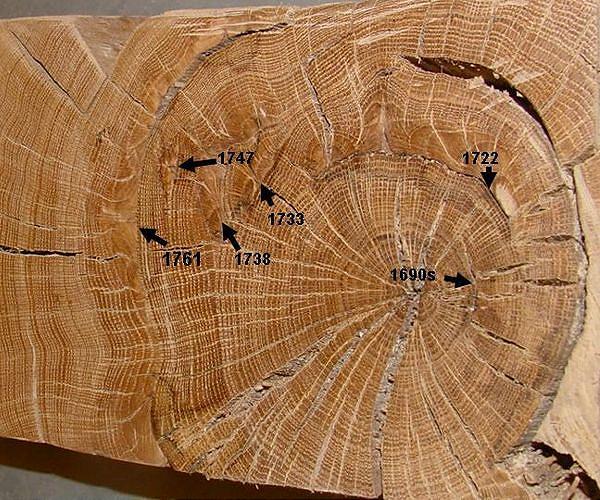 WVU researcher explores ancient tree rings to predict future space weather