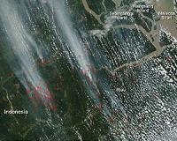 Indonesia forest fires could become worst on record: NASA