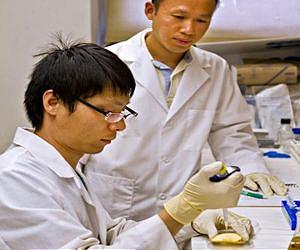 Toxic nanoparticles might be entering human food supply