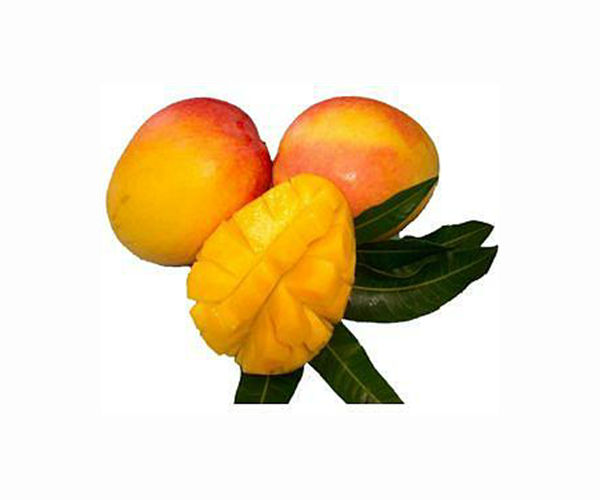 Mango deal sweetens ties between Bangladesh and China