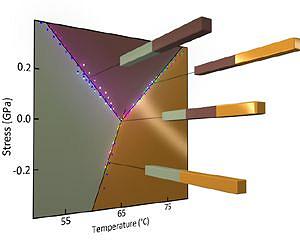 Physicists pinpoint key property of material that both conducts and insulates