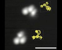 Light drives single-molecule nanoroadsters