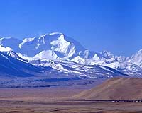 Nine dead as strong quake hits Tibet: state media