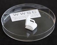 Cellulose from wood can be printed in 3-D