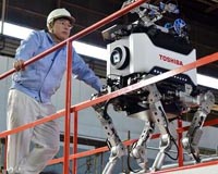 Loss-hit Toshiba nosedives on fears about future