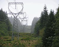 Coal And Nuclear Electricity Generation Declines As Renewable Energy Sources Soar