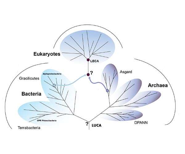 Life on Earth was far more diverse 800M year ago