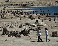 California laments 'dismal' water cuts after drought call