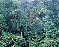 Decisive Action Needed As Warming Predictions Worsen