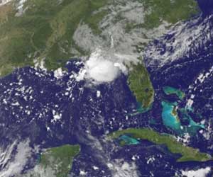 Marine census in Gulf of Mexico a pre-spill snapshot
