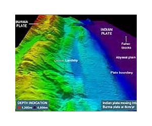 Seabed Biodiversity In Oxygen Minimum Zones