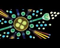First single-enzyme method to produce quantum dots revealed