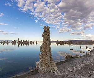 Poison-breathing bacteria may be boon to industry, environment