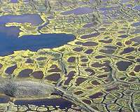How climate change could expose new epidemics